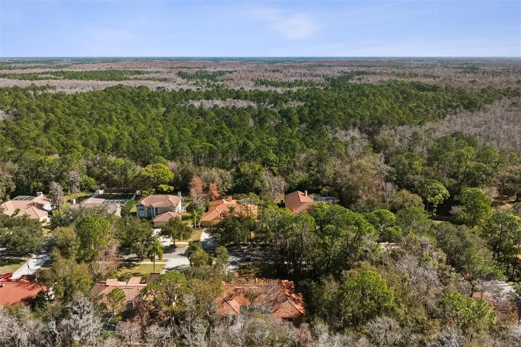 1362 E Lake Woodlands Parkway Oldsmar FL 34677