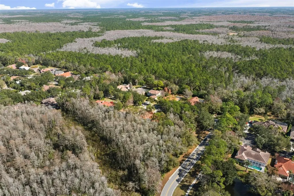 1362 E Lake Woodlands Parkway Oldsmar FL 34677