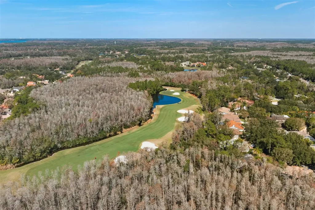 1362 E Lake Woodlands Parkway Oldsmar FL 34677