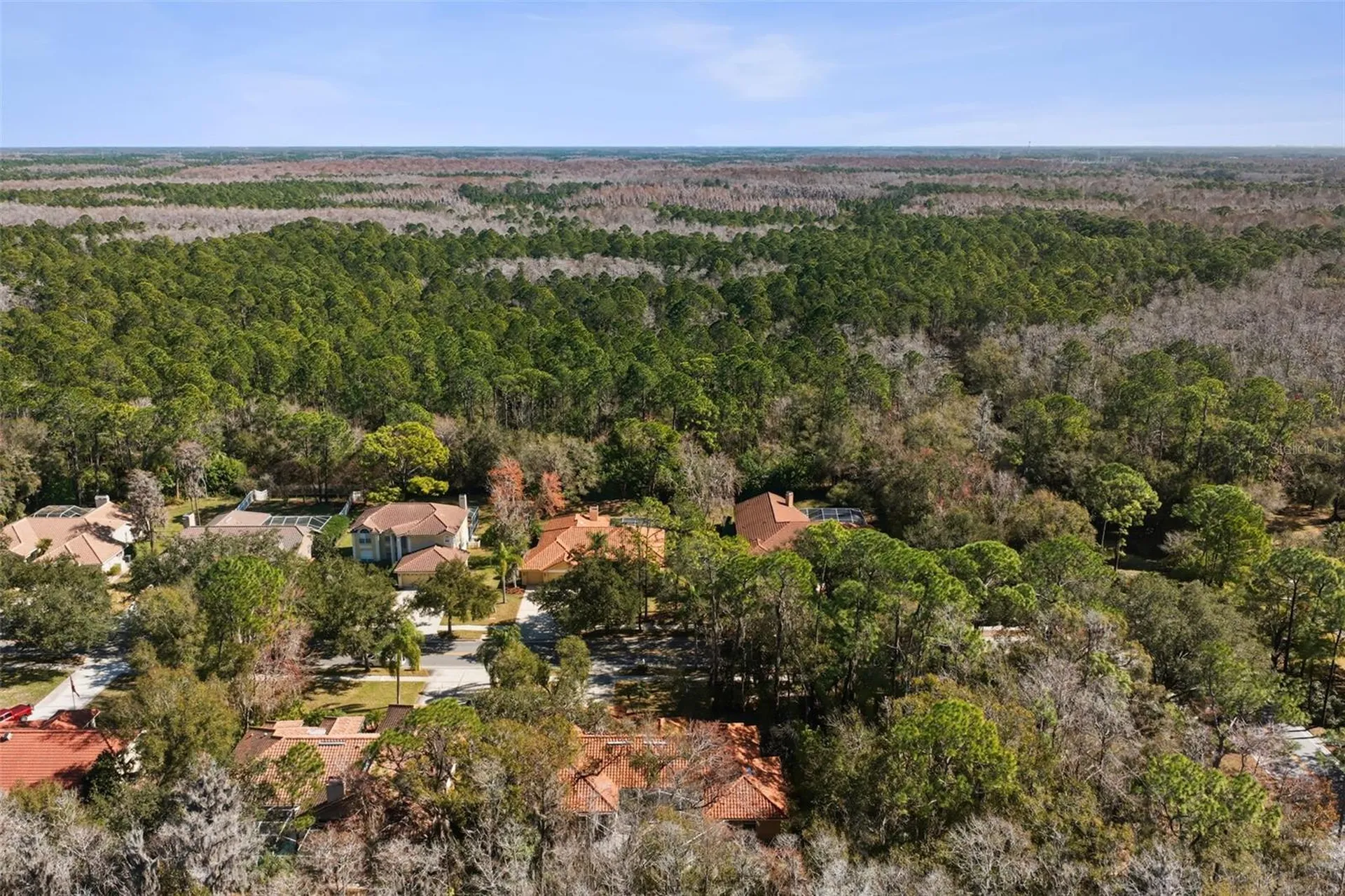 1362 E Lake Woodlands Parkway Oldsmar FL 34677