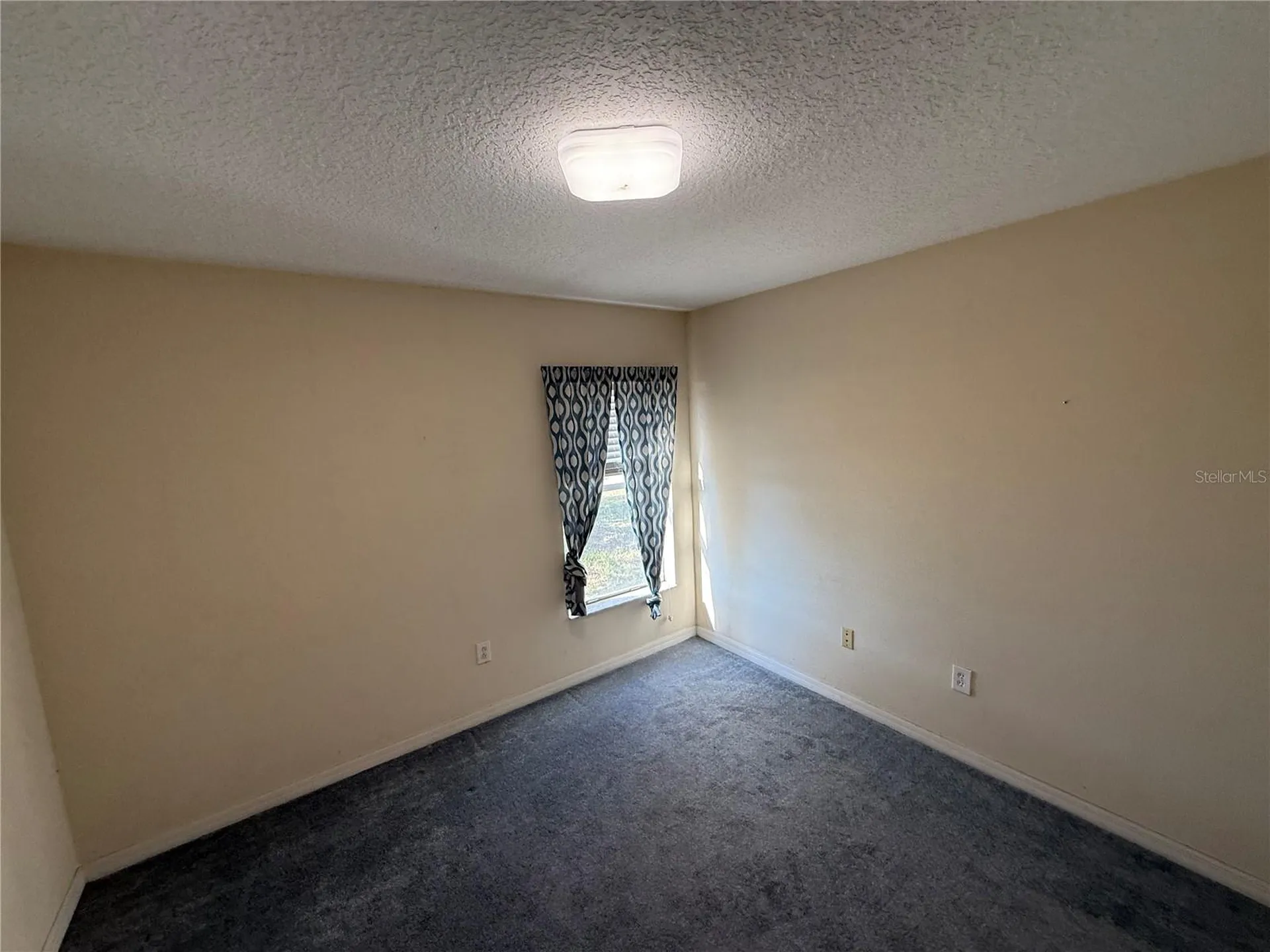 2313 Lawrence Hall Street Ruskin FL 33570