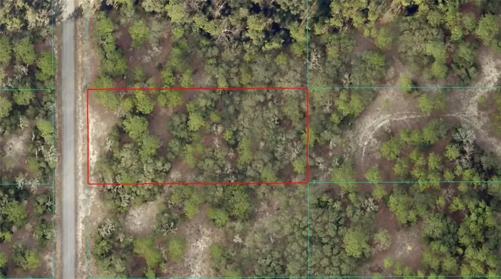 Tbd SW Breezy Point Drive Dunnellon FL 34431
