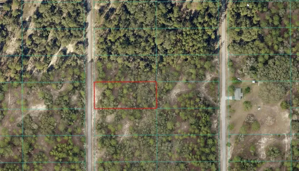 Tbd SW Breezy Point Drive Dunnellon FL 34431