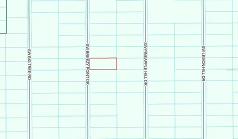Tbd SW Breezy Point Drive Dunnellon FL 34431