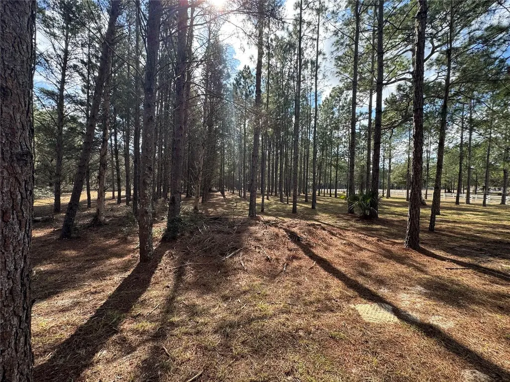 SW 70th Terrace Bushnell FL 33513