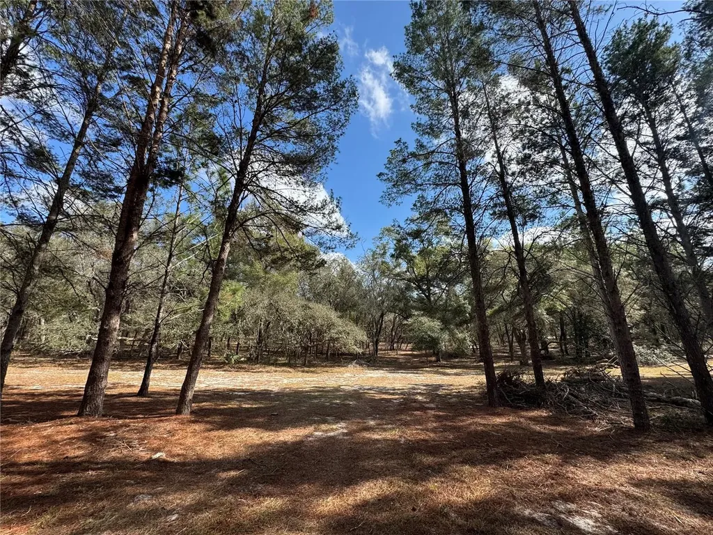 SW 70th Terrace Bushnell FL 33513