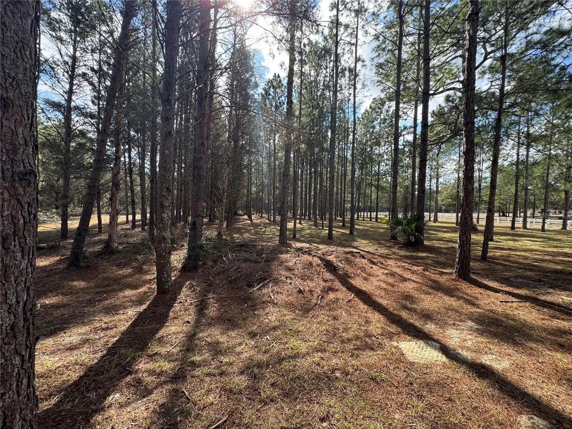 SW 70th Terrace Bushnell FL 33513