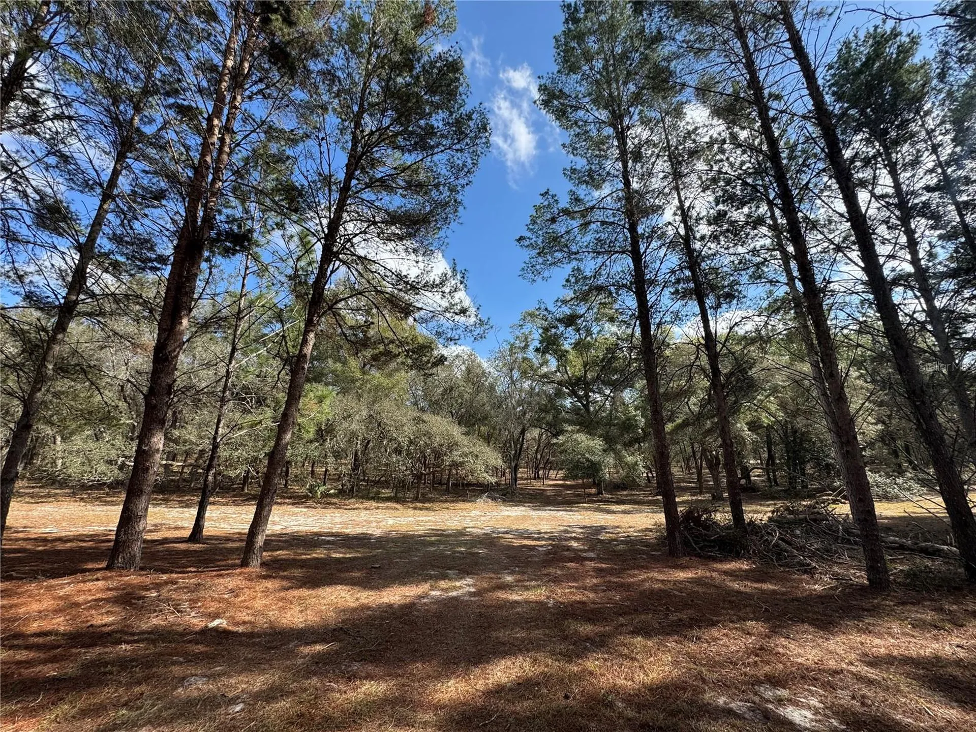 SW 70th Terrace Bushnell FL 33513