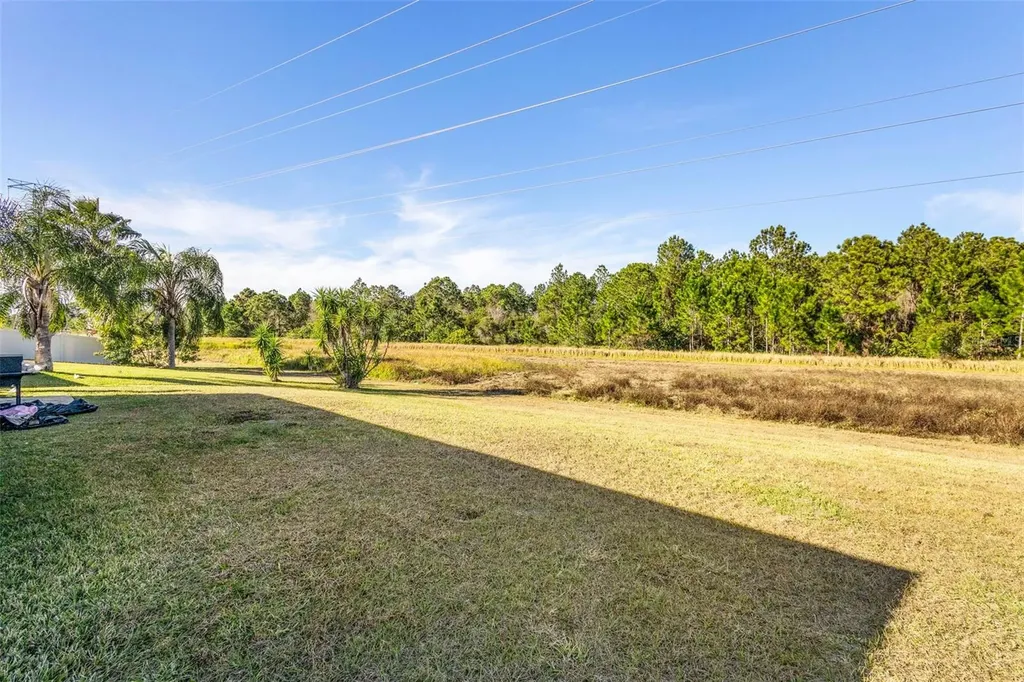 1739 Canoe Creek Falls Drive Orlando FL 32824