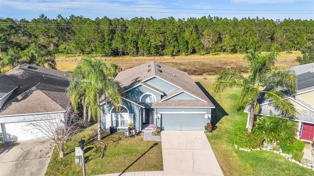 1739 Canoe Creek Falls Drive Orlando FL 32824