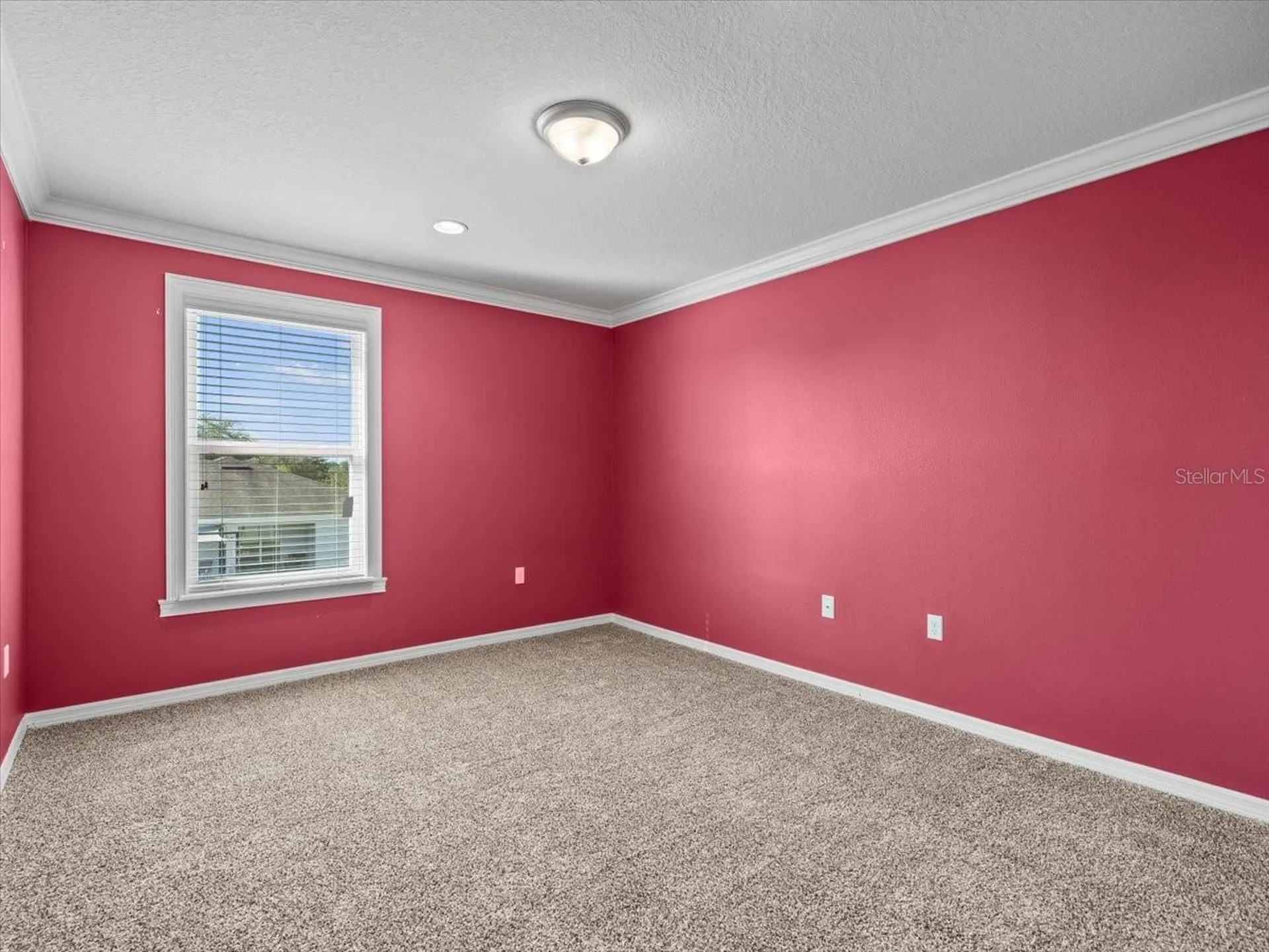 13366 Barkingside Place Spring Hill FL 34609