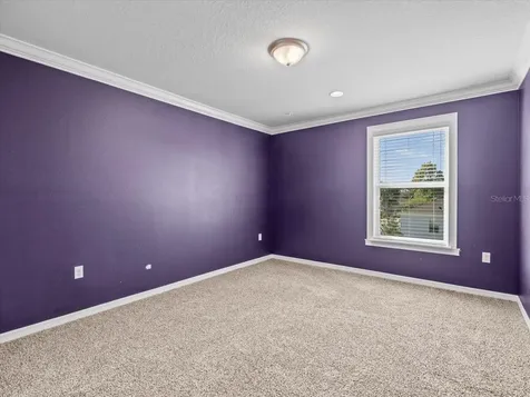 13366 Barkingside Place Spring Hill FL 34609