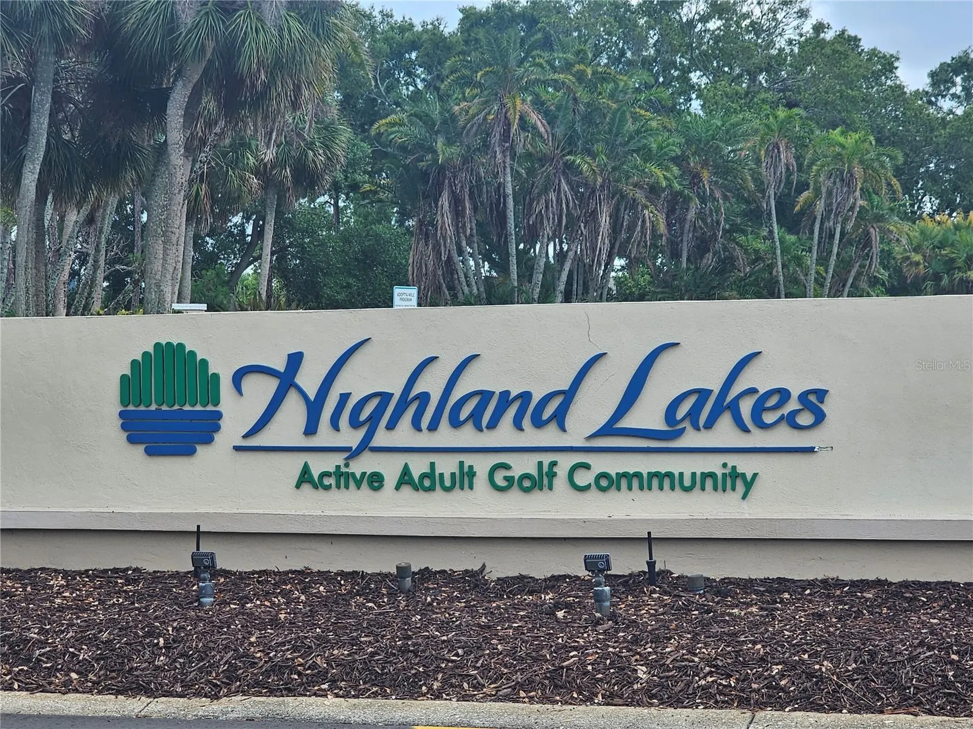 1107 Queen Anne Drive Palm Harbor FL 34684