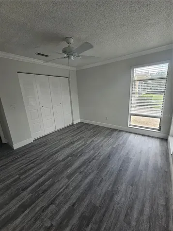 1107 Queen Anne Drive Palm Harbor FL 34684