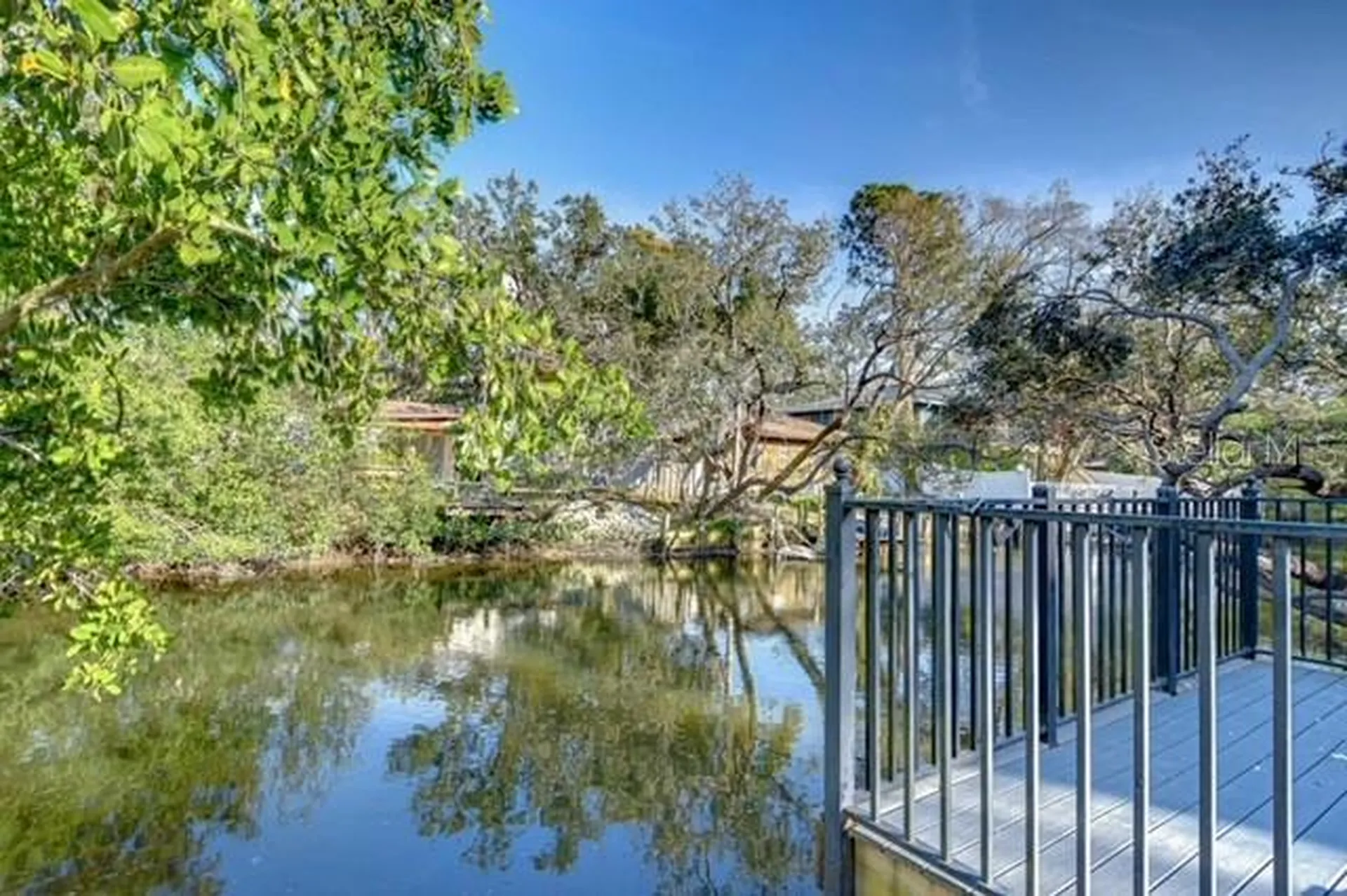 7425 Seagull Way Tampa FL 33635