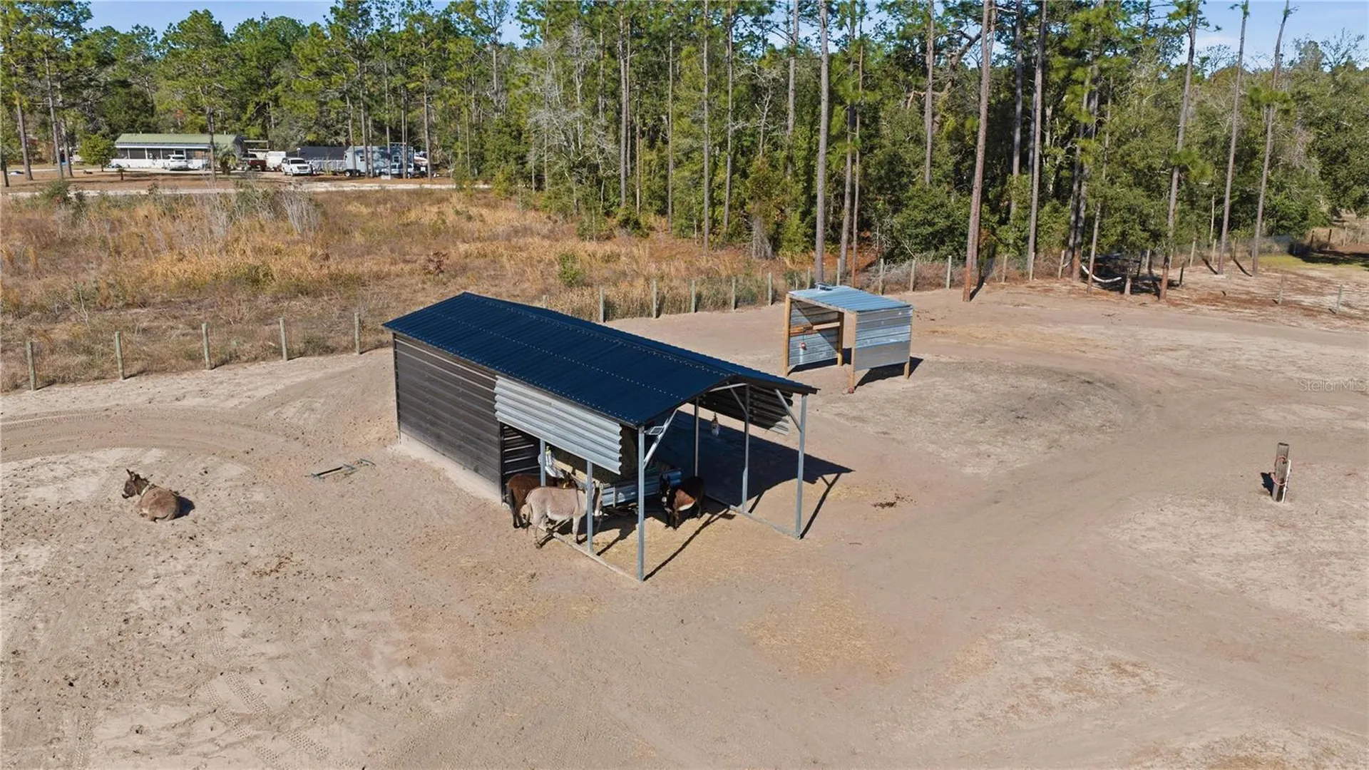 13920 NE 6th Street Williston FL 32696