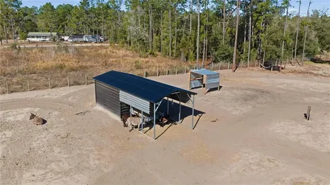 13920 NE 6th Street Williston FL 32696