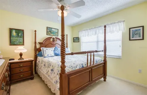 4901 Hallstead Way Tampa FL 33647