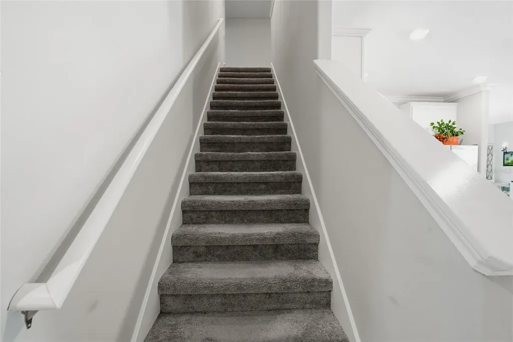 1370 White Fox Run Lutz FL 33549