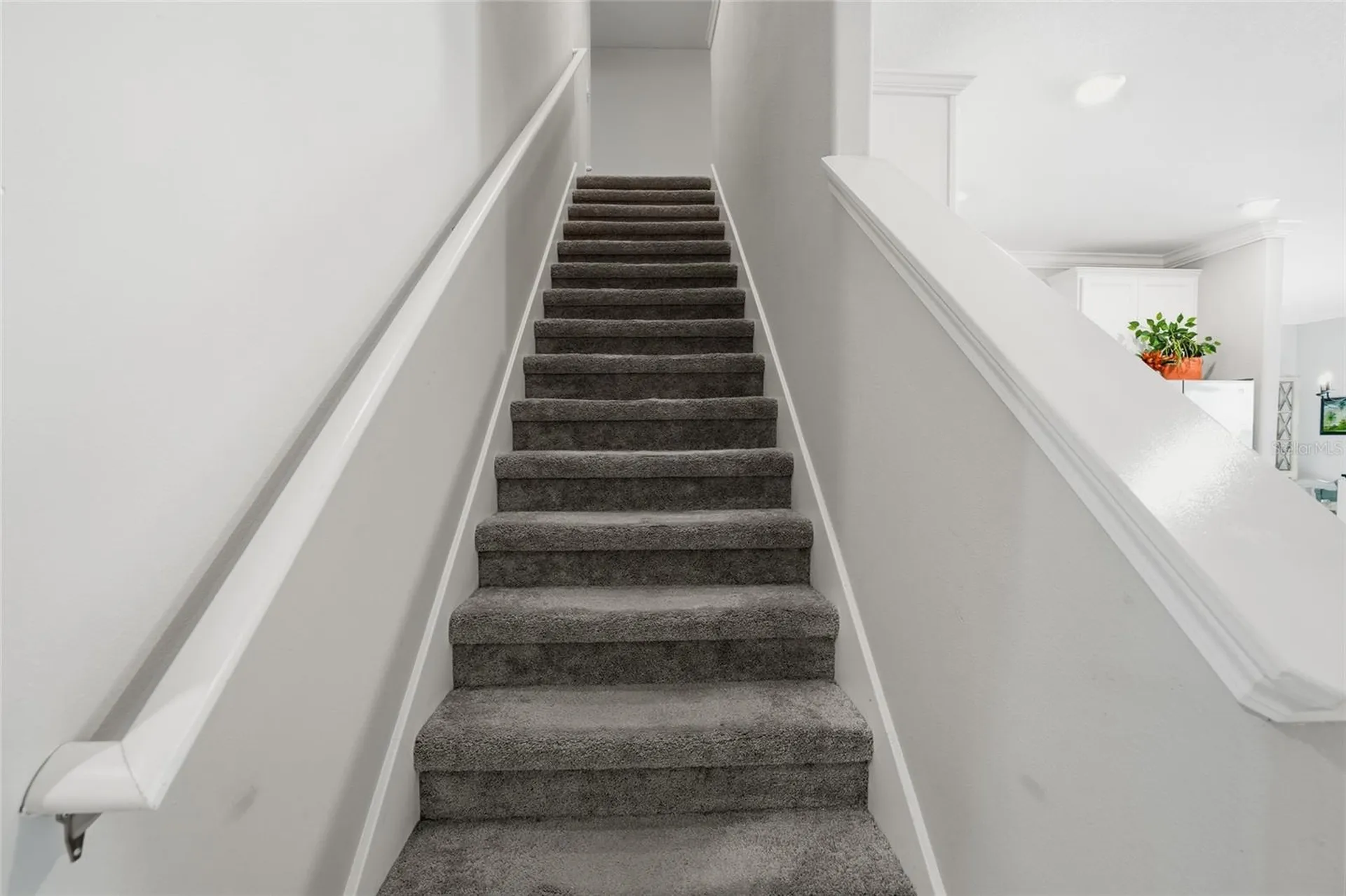 1370 White Fox Run Lutz FL 33549