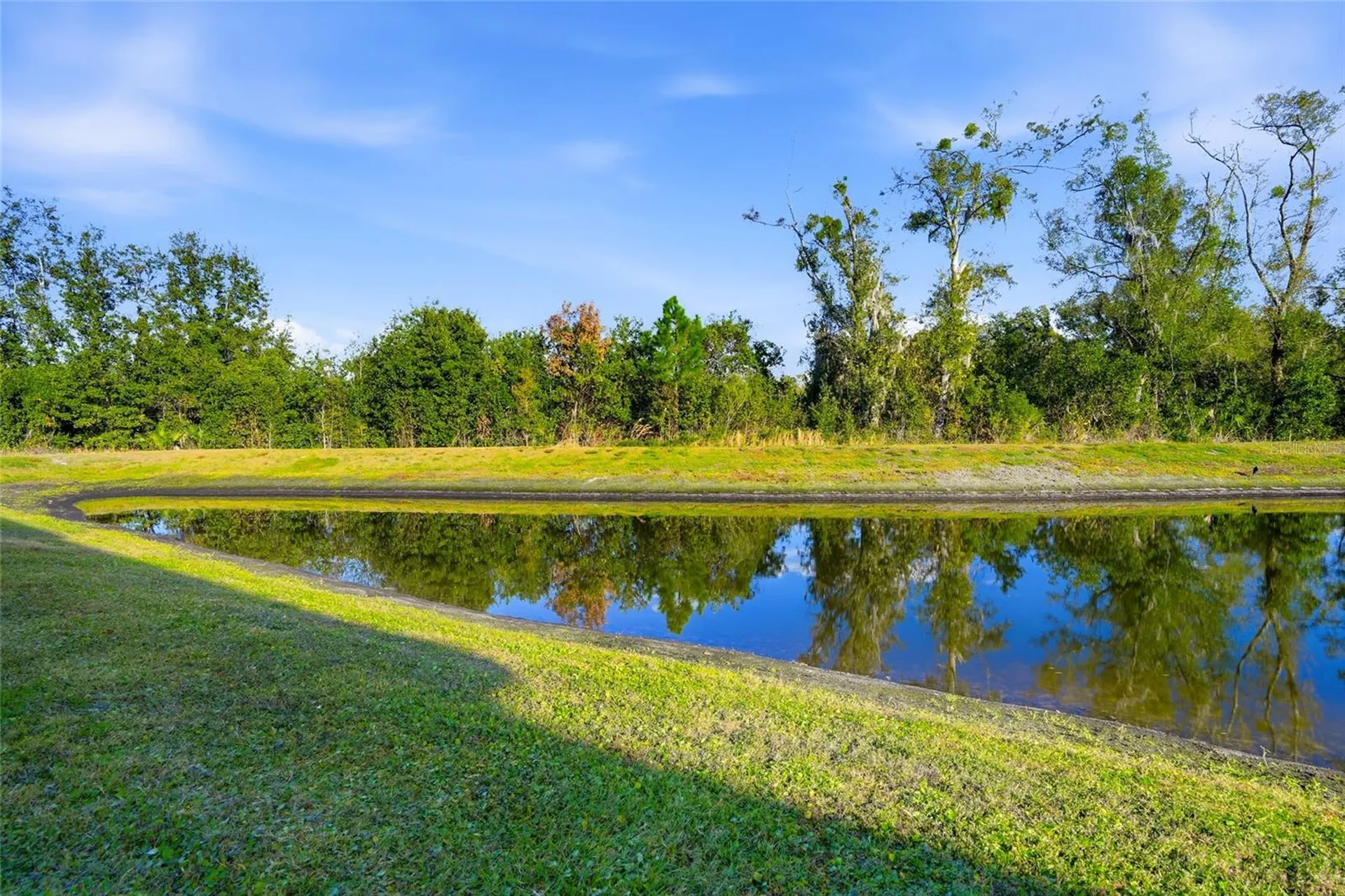 1370 White Fox Run Lutz FL 33549
