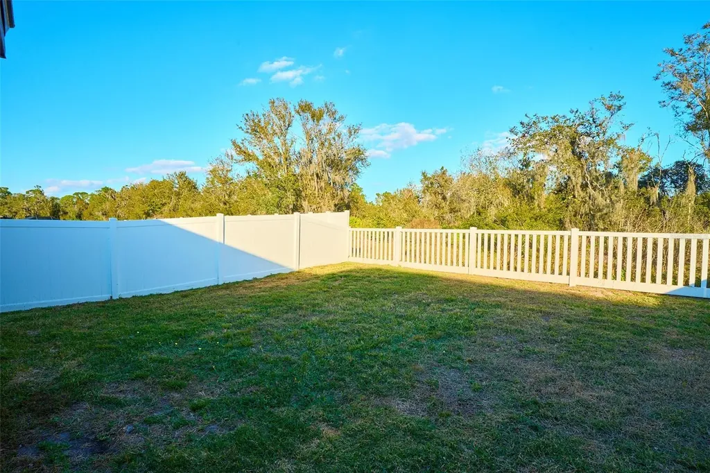 13351 Willow Bluestar Loop Riverview FL 33579