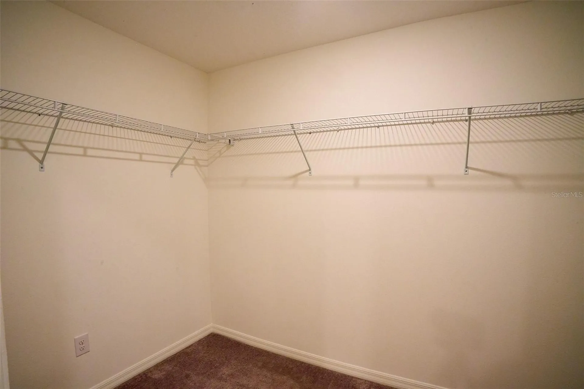 13351 Willow Bluestar Loop Riverview FL 33579