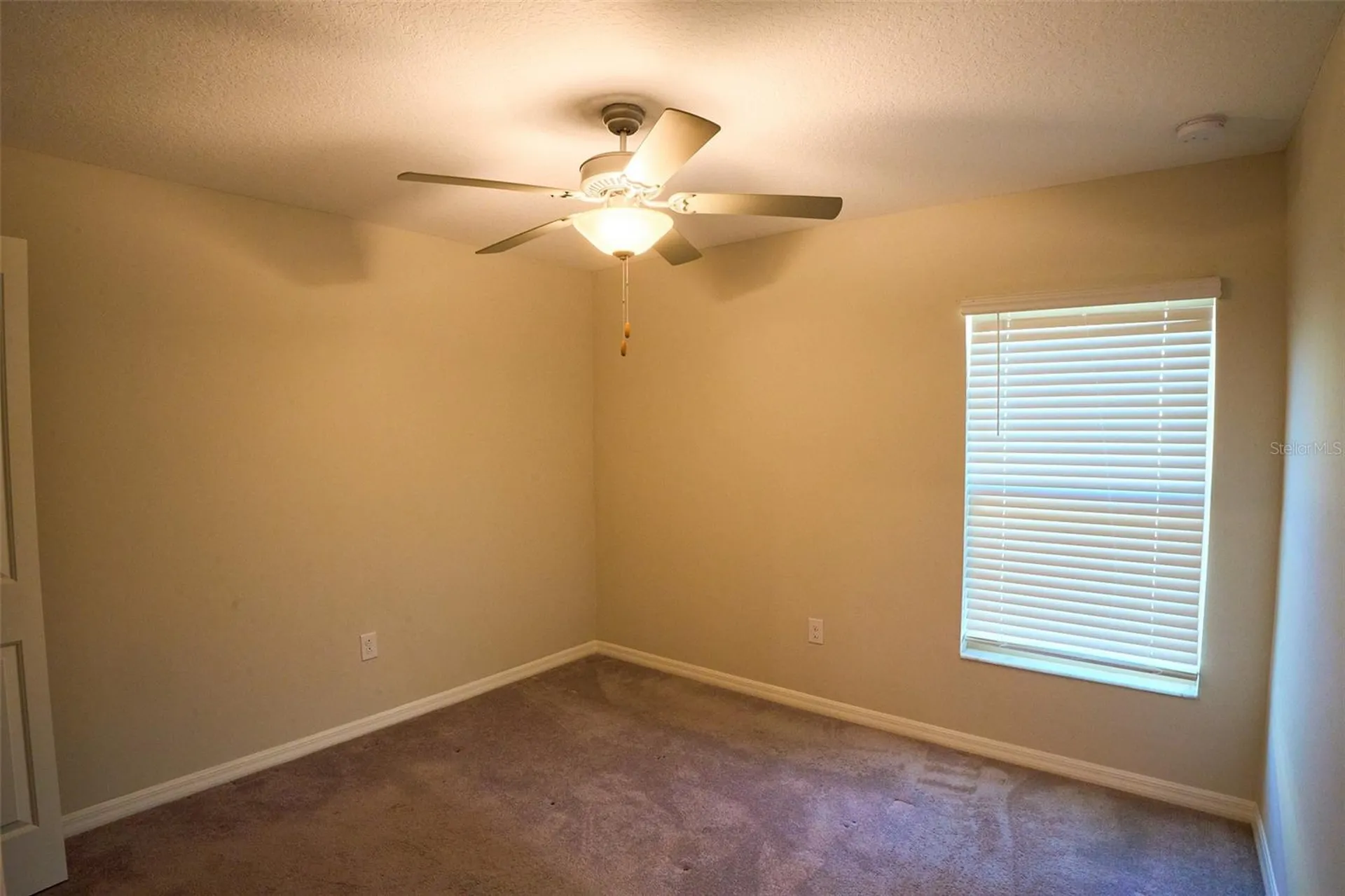13351 Willow Bluestar Loop Riverview FL 33579