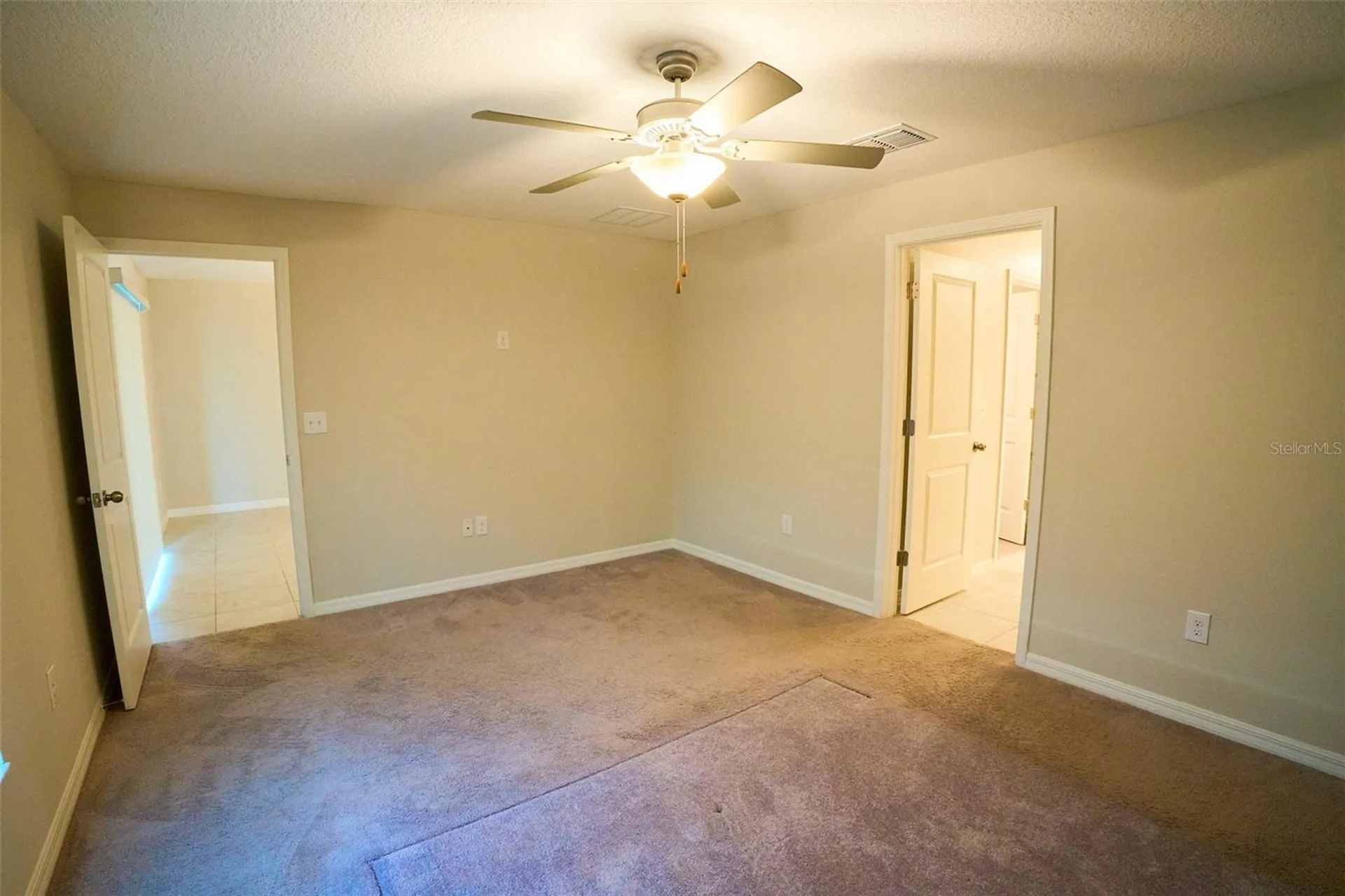 13351 Willow Bluestar Loop Riverview FL 33579