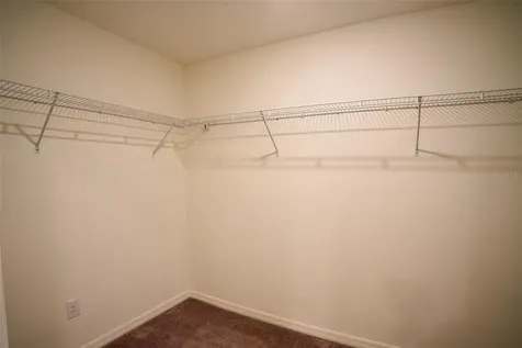 13351 Willow Bluestar Loop Riverview FL 33579