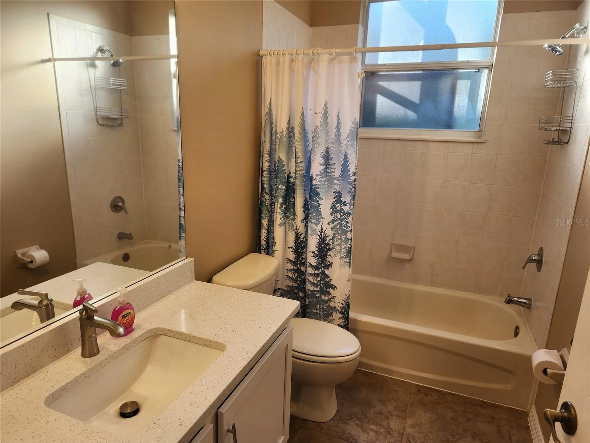 12027 Still Meadow Drive Clermont FL 34711