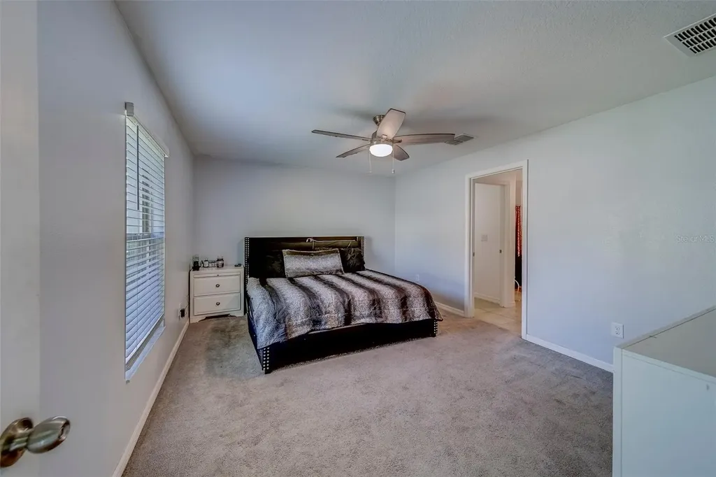 10222 Cool Waterlily Avenue Riverview FL 33578