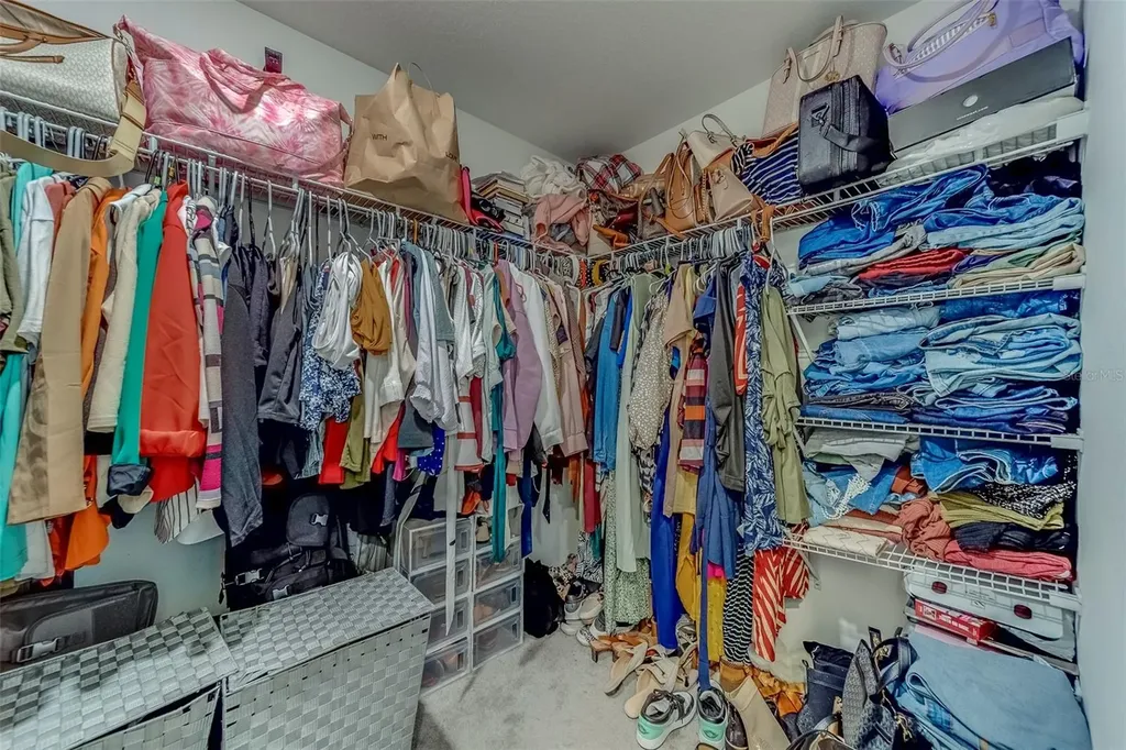 10222 Cool Waterlily Avenue Riverview FL 33578