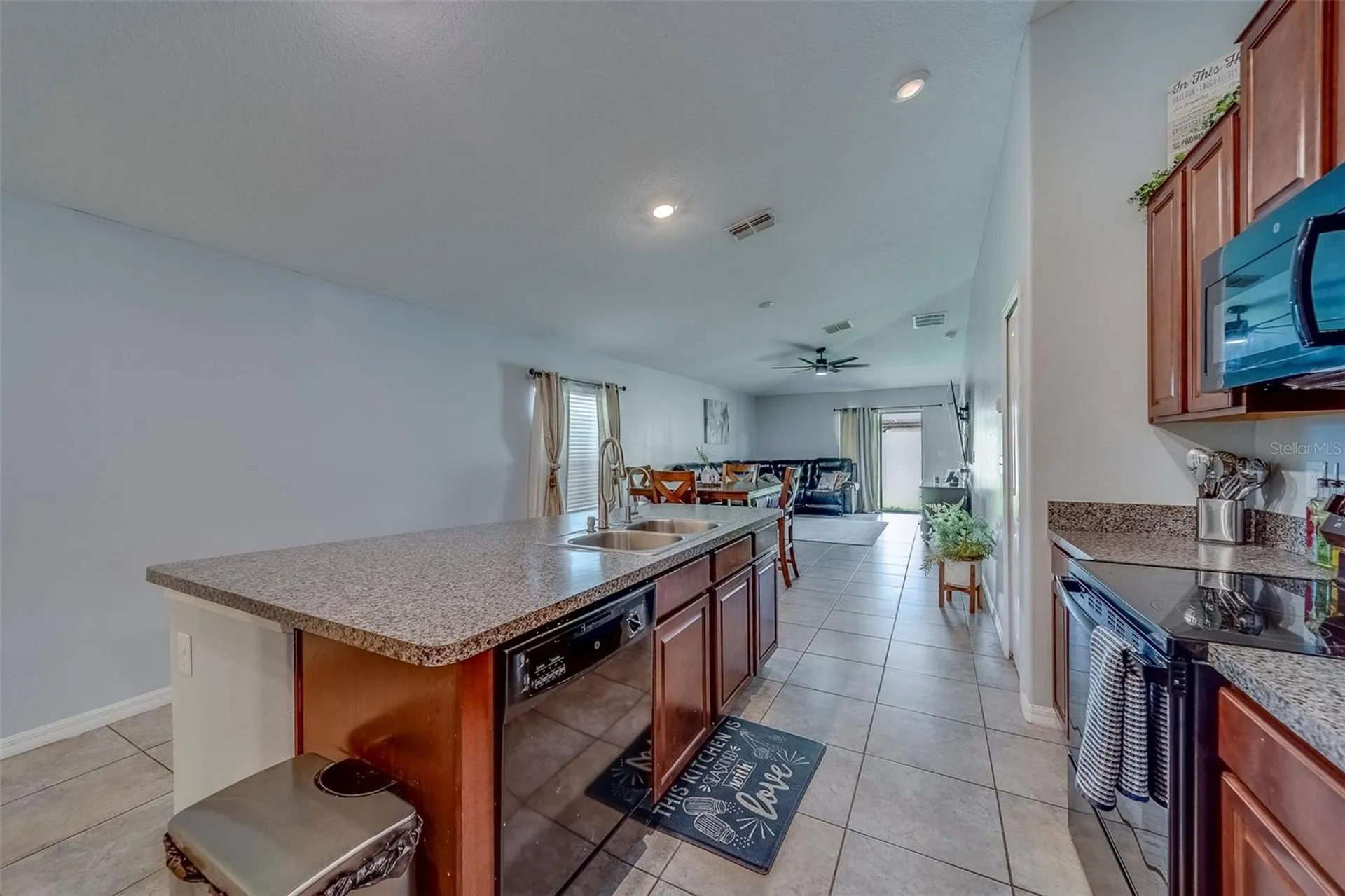 10222 Cool Waterlily Avenue Riverview FL 33578