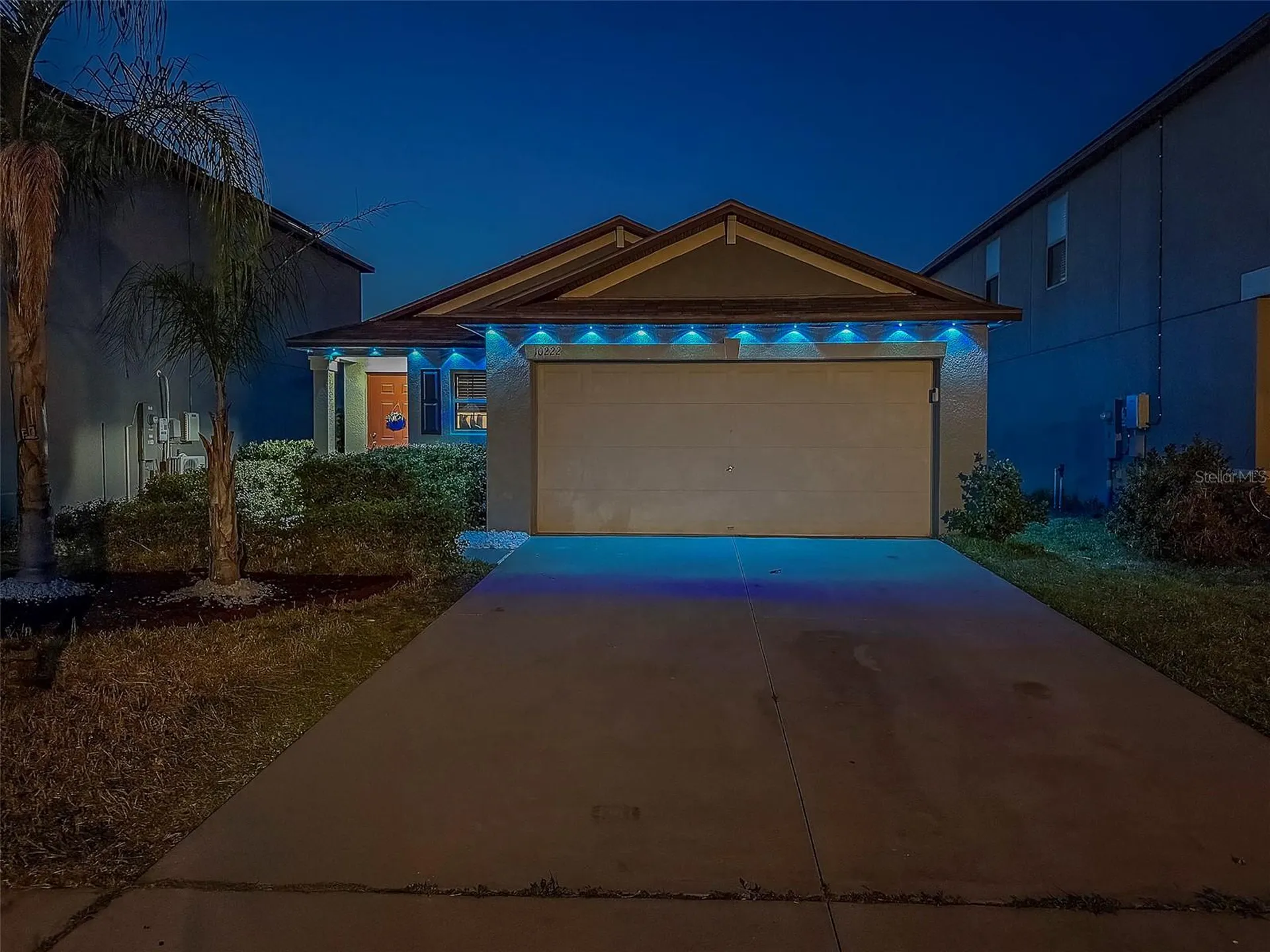 10222 Cool Waterlily Avenue Riverview FL 33578