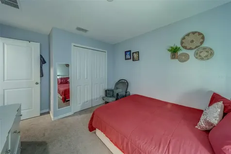 10222 Cool Waterlily Avenue Riverview FL 33578