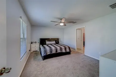 10222 Cool Waterlily Avenue Riverview FL 33578