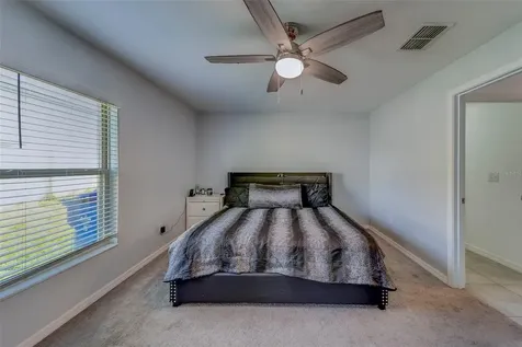 10222 Cool Waterlily Avenue Riverview FL 33578