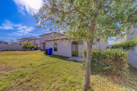 10222 Cool Waterlily Avenue Riverview FL 33578