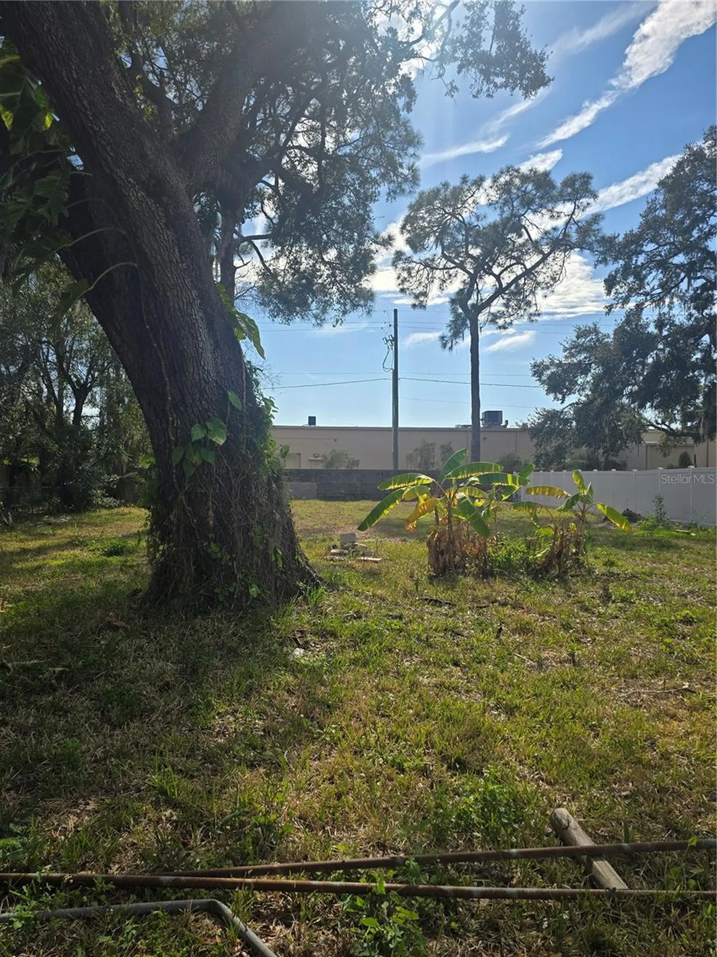 8506 Sunbean Lane Tampa FL 33615