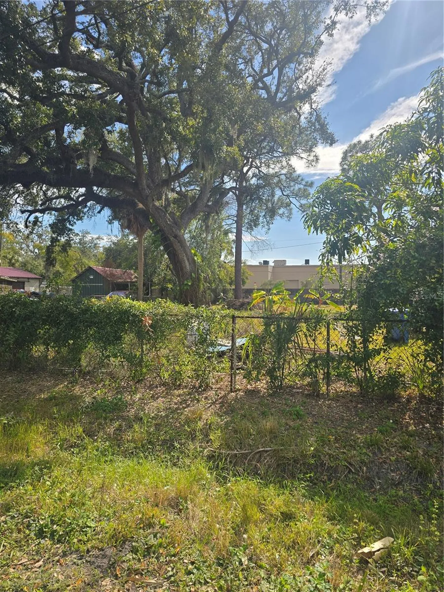 8506 Sunbean Lane Tampa FL 33615