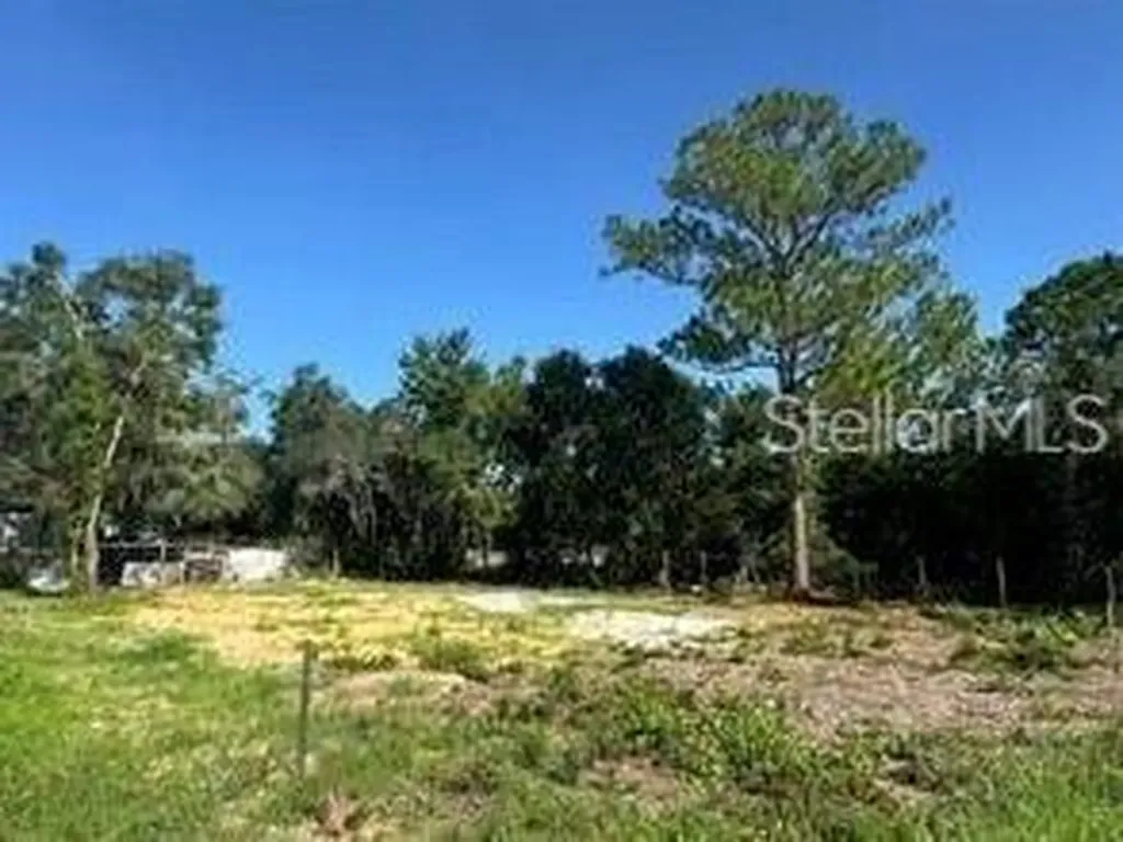 Lake Marion Creek Road Haines City FL 33844