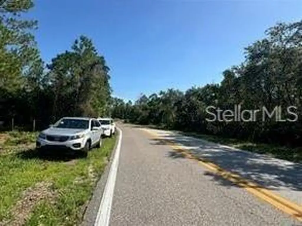 Lake Marion Creek Road Haines City FL 33844