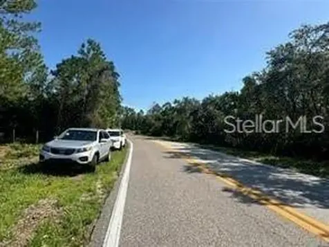 Lake Marion Creek Road Haines City FL 33844