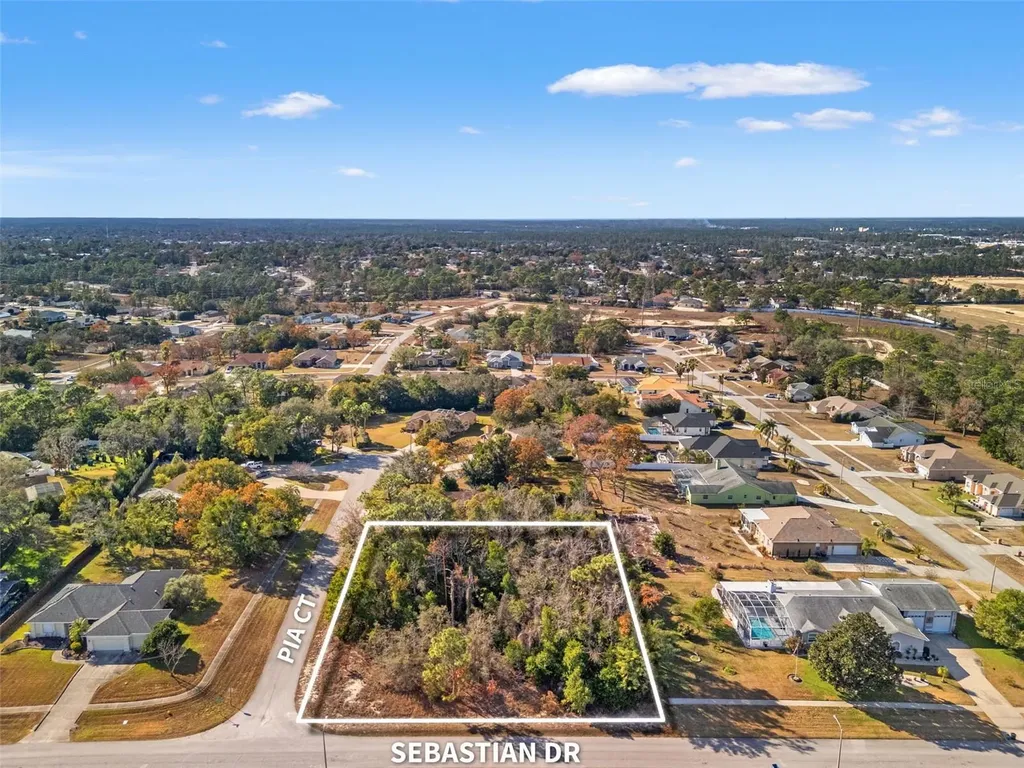 Sebastian Drive Spring Hill FL 34609
