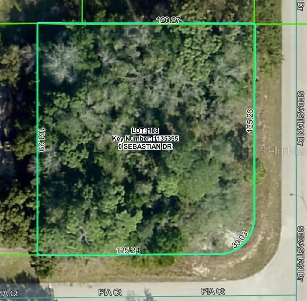 Sebastian Drive Spring Hill FL 34609