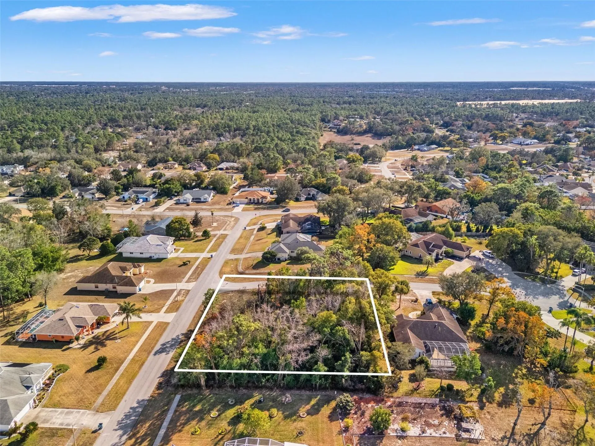 Sebastian Drive Spring Hill FL 34609
