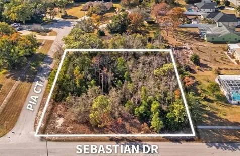 Sebastian Drive Spring Hill FL 34609