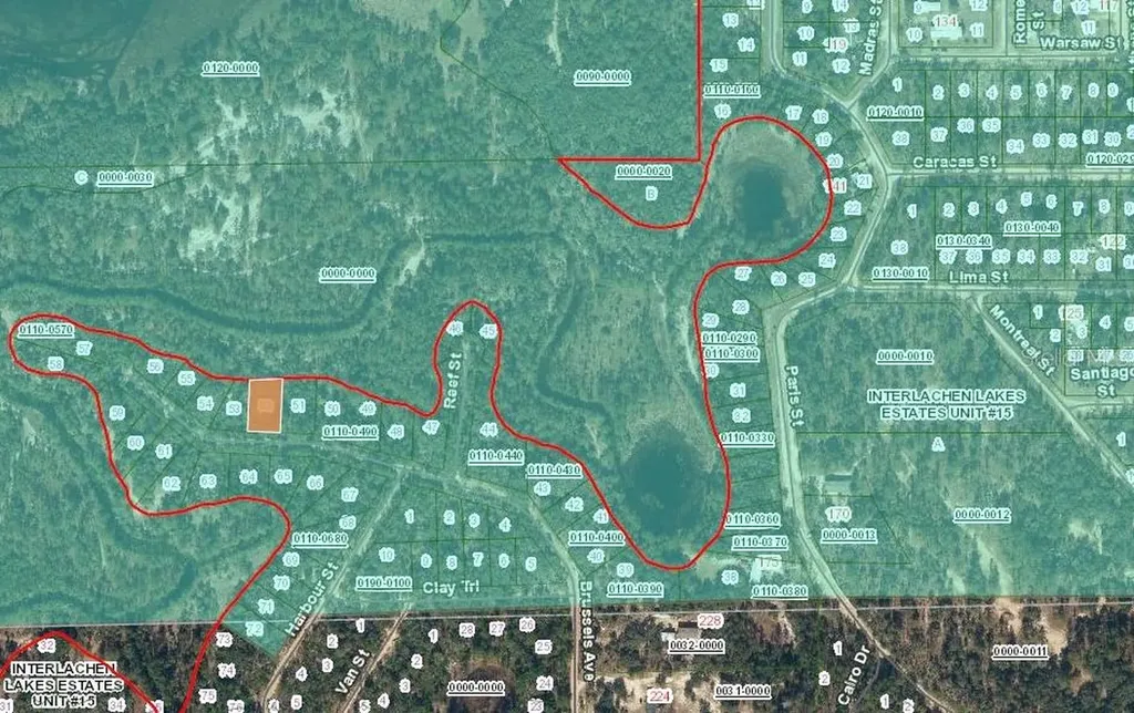 254 Brussels Avenue Interlachen FL 32148