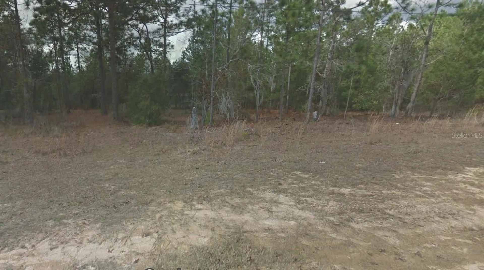 254 Brussels Avenue Interlachen FL 32148